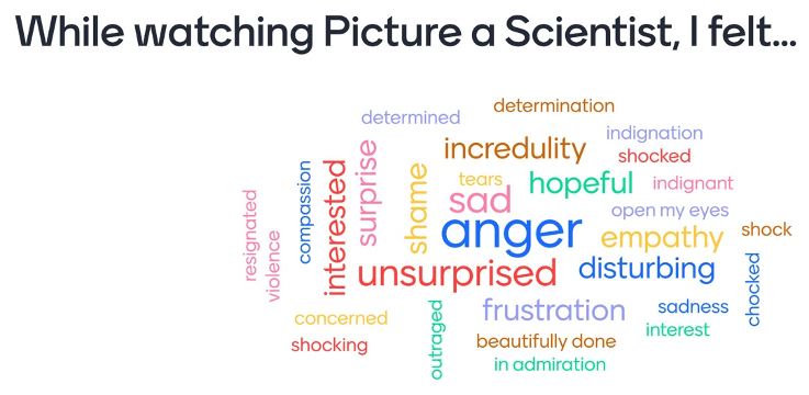 Some of the emotions triggered by the movie, collected at the beginning of the discussion using a live-poll