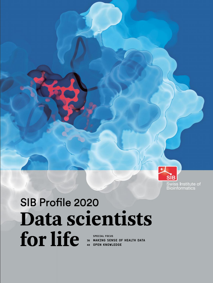 SIB profile cover 2020