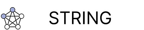 STRING logo