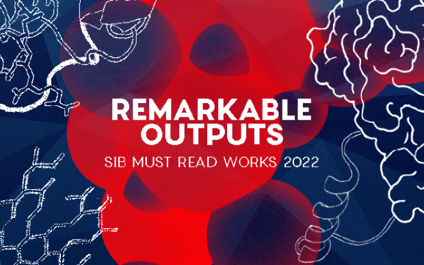 SIB Remarkable Outputs Banner