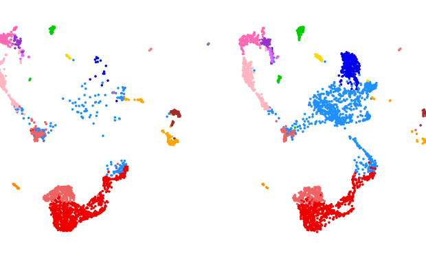 pancreatic tumor composition changes after various immunotherapy treatments, gene expression profiling was generated through single cell RNA sequencing.