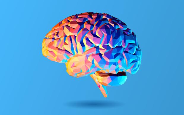 low poly 3d brain multicolor image