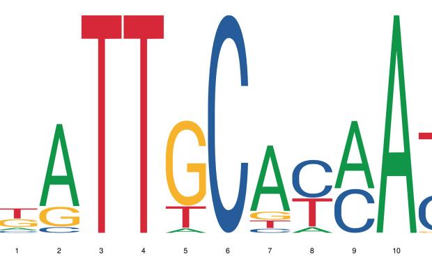 a graph showing the letters of dna 