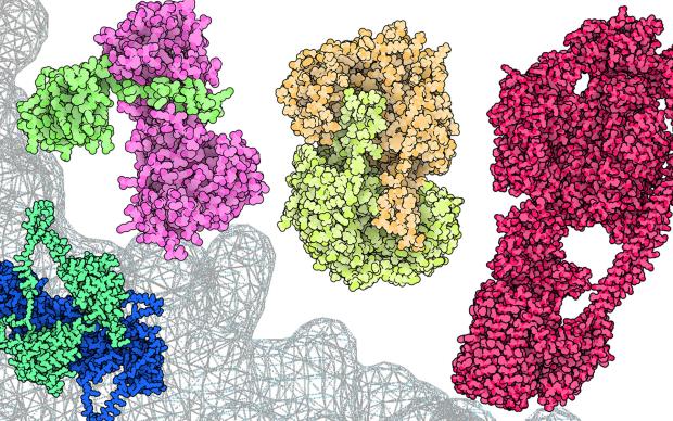 a 3d image of a group of different colored proteins