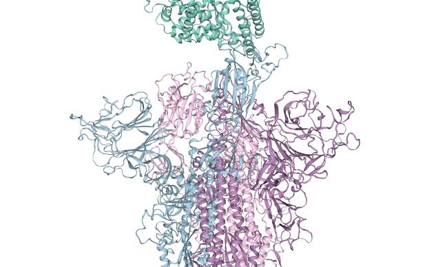 spike protein vector illustration