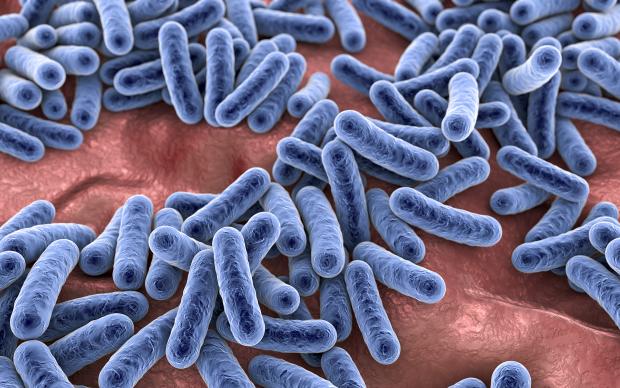 Bacteria, human microbiome stock photo