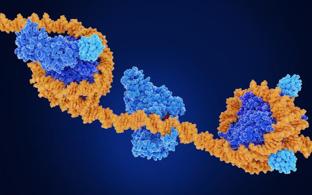 Main epigenetic modifications performed by the histone methyltransferase (DOT1L), DNA methyl transferase (DMNT1) and ubiquitin stock photo