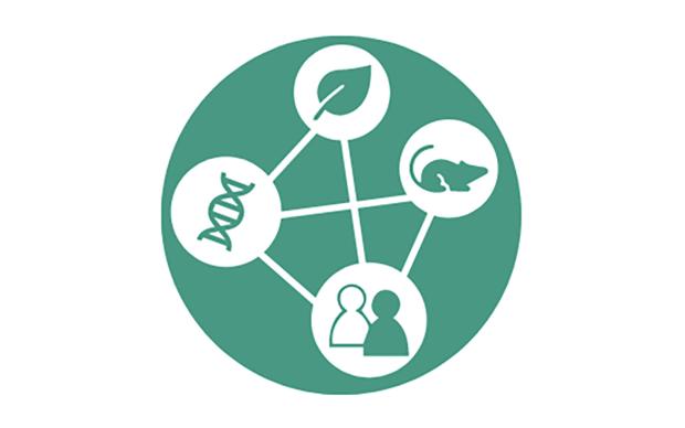 a green logo with evolution dna links between humans animals and plants