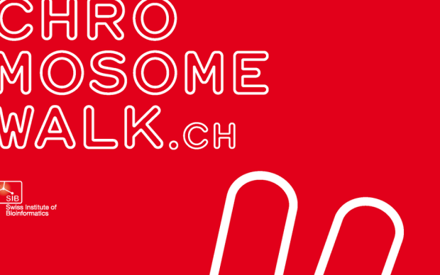 chromosome walk.ch banner