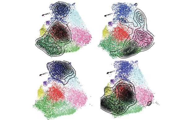 scRNA-seq dataset