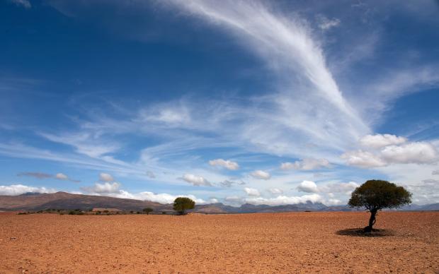 Image showing a tree in a deserted landscape