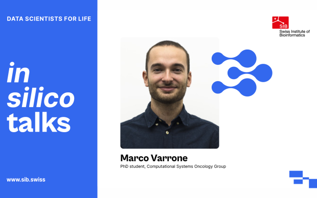 in silico talk with the speaker Marco Varrone