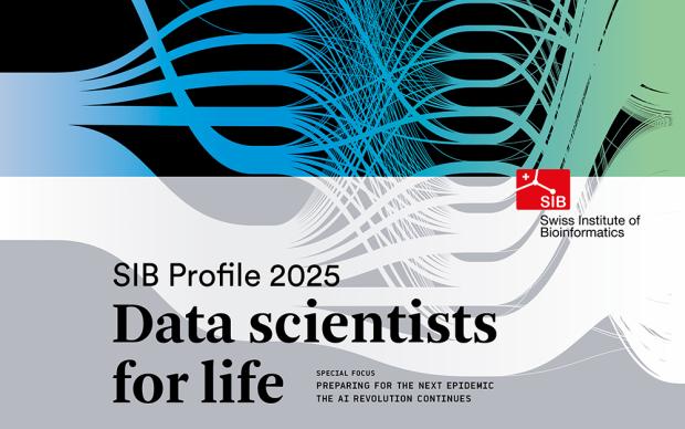 Cover of the SIB Profile 2025