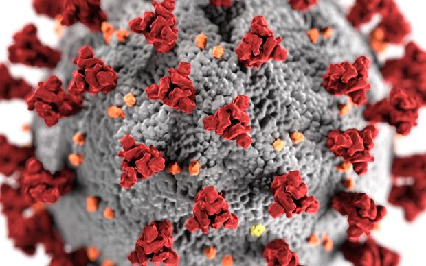 Close up of COVID-19 virus