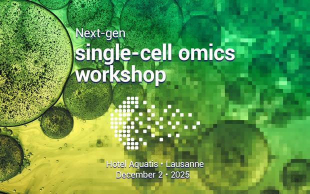 pattern of green and yellow circular cells