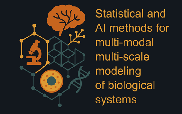 an image illustration the ACONA workshop on Statistical and AI methods for multi-modal multi-scale modeling of biological systems