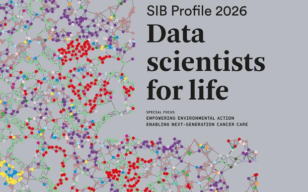 Cover of the SIB Profile 2026