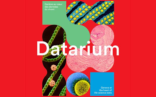 Datarium's visual