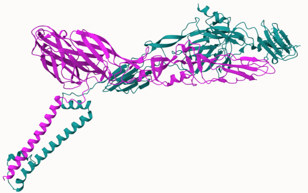 3D structure of two interacting proteins from Ross River virus