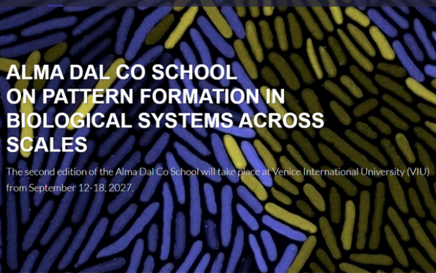 a illustration for the alma dal Co school 2027