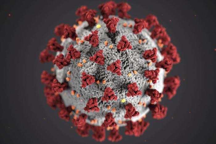 close up of corona virus