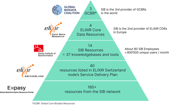 SIB services pyramid graph