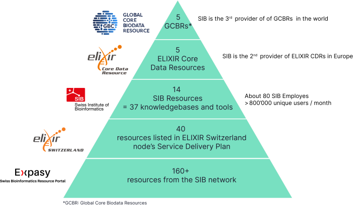 SIB services pyramid graph