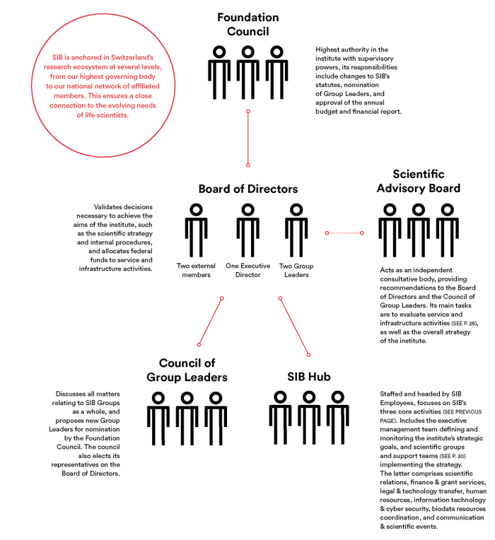 SIB governance 2025