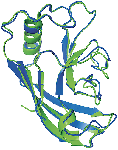 Protein structure predicted by AlphaFold