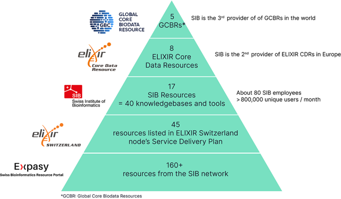 SIB services pyramid graph