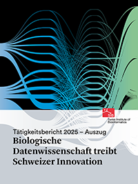Cover of the SIB Profile 2025's extract in German
