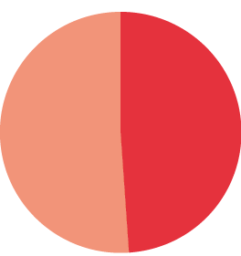 Repartition female/male employees at SIB