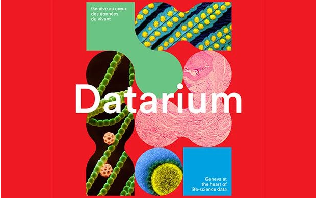 Datarium banner
