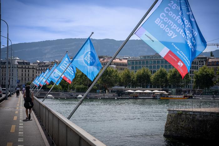 The Mont-Blanc Bridge in Geneva with flags from the ECCB conference