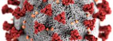 Close up of COVID-19 virus