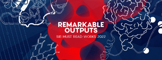 SIB Remarkable Outputs 2022 Banner