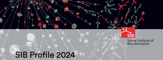 SIB简介2024的封面和标题