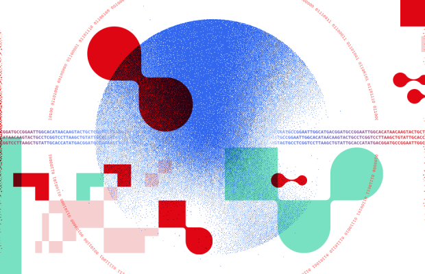 A key visual showing motifs from SIB's new brand identity