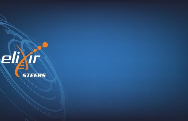 ELIXIR-STEERS logo