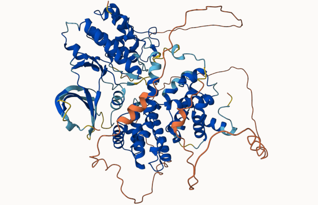 Image of a protein complex structure