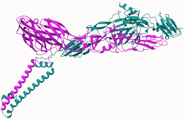 3D structure of two interacting proteins from Ross River virus