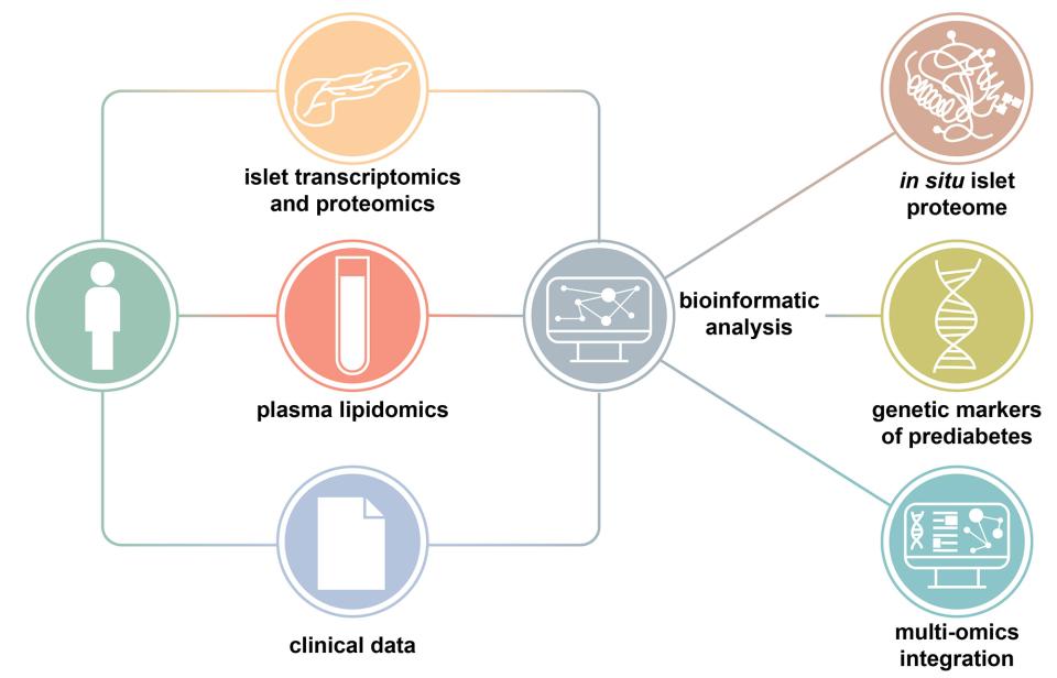 a diagram showing the different types of bioinformatics