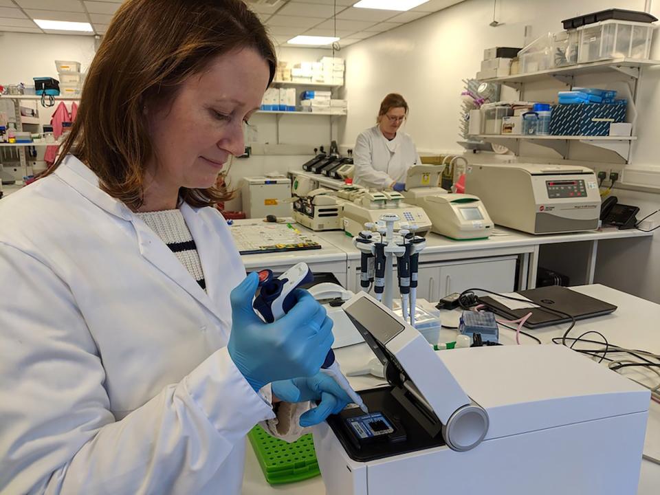 a woman analysing dna in a laboratory