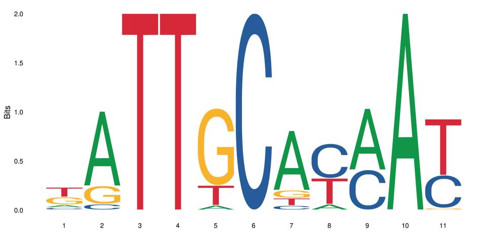 a graph showing the letters of dna 