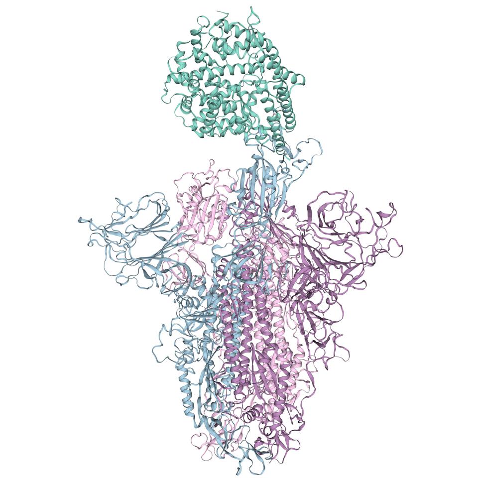 spike protein vector illustration