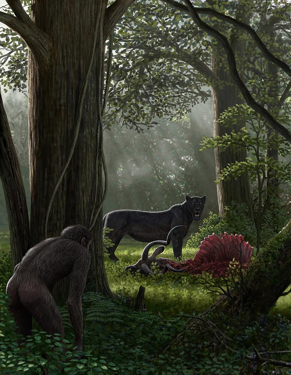 illustration of a carnivore animal in the jungle 