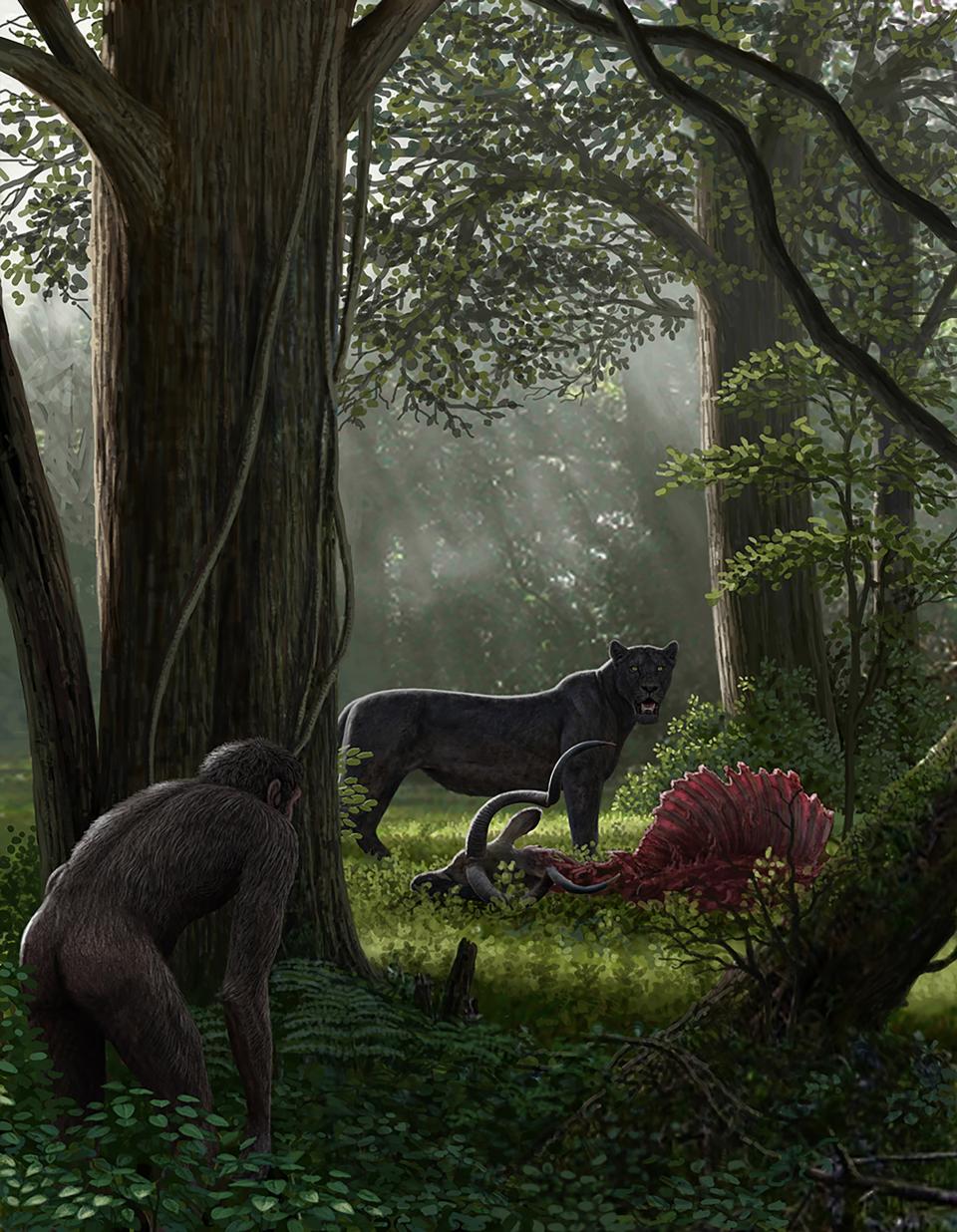 illustration of a carnivore animal in the jungle