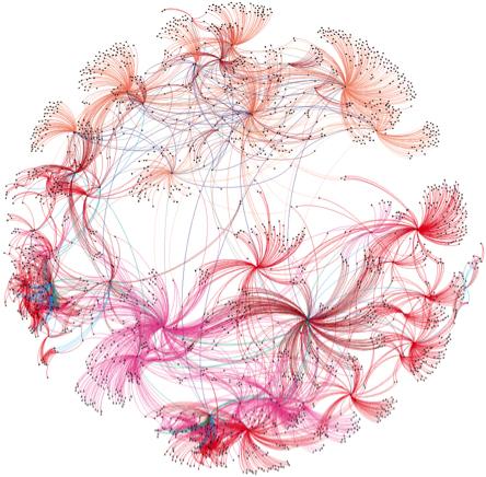  network of relationships (arcs) between genes, cellular pathways and traits associated with diabetes.