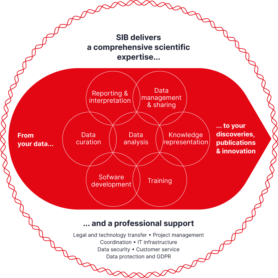 A visual representation of a comprehensive approach to services and infrastructures