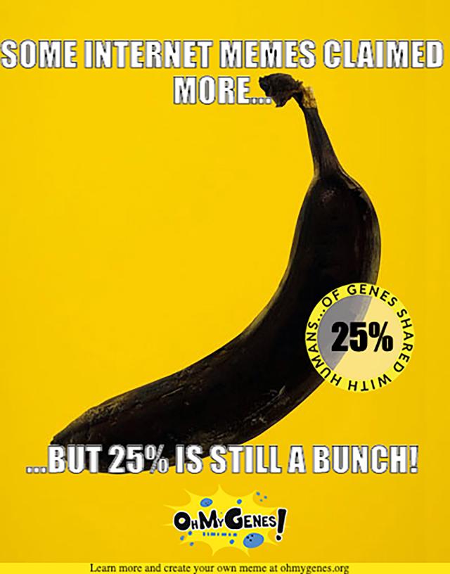 banana meme
